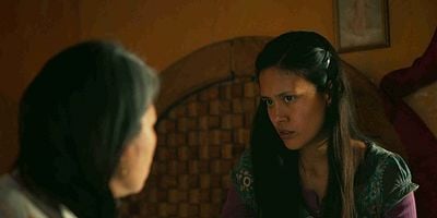 Cartel de Paseando con lobos