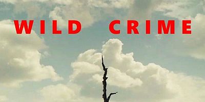 Cartel de Episodio 1