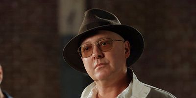 Cartel de The Skinner: Conclusion