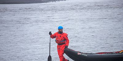Cartel de Mente de colmena