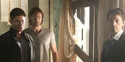 Cartel de Devil May Care