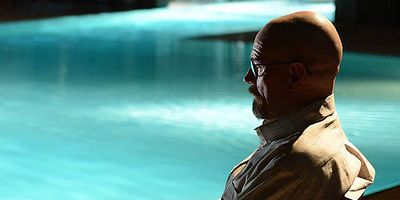 Cartel de Perro rabioso