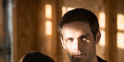 Cartel de Variaciones por domesticación