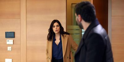 Cartel de The cards have been redistributed