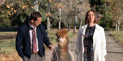 Cartel de El parque de diversiones