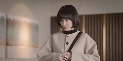 Cartel de La extraordinaria abogada Woo