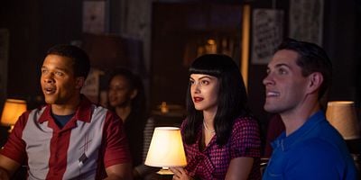 Cartel de A Different Kind of Cat