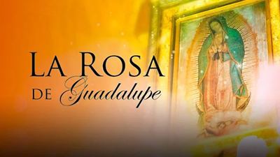 'La rosa de Guadalupe' es el programa más visto en México y las mamás no son sus principales fans