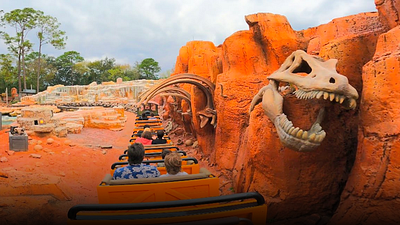 En 2016, un médico notó que una atracción de Disneyland ayudó al 70% de sus pacientes a eliminar cálculos renales noticias imagen