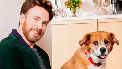 El video oculto que cambió la vida de Chris Evans: así fue el flechazo con su perro Dodger en un refugio real noticias imagen