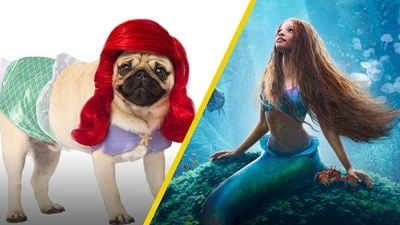 'La Sirenita': Estos perritos disfrazados de princesas Disney te robarán el corazón