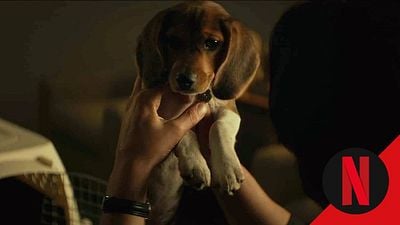 Hace 11 años se estrenó el inicio de una de las mejores sagas de la historia del cine. Hoy puedes ver en Netflix su excelente primera película noticias imagen