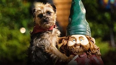 'Hijos de perra': Así fue el casting de los tiernos protagonistas de cuatro patas noticias imagen