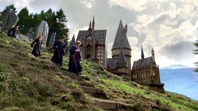 'Harry Potter': Este coleccionable de más de un meso es perfecto para adornar la casa de cualquier potterhead este Día del Amor y la Amistad