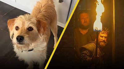Conoce a Bobby, el perrito actor de ‘House of the Dragon’ que se robó el corazón de los fans noticias imagen