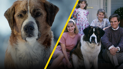 5 películas protagonizadas por perritos para ver este domingo en Azteca 7 noticias imagen