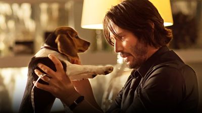 Si pausas 'John Wick' en el minuto 9, verás 5 mil dólares en popó de perro (la escena más ridícula de Keanu Reeves)