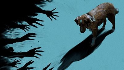 La película de terror que aumentó 1000% de búsquedas en Google: usuarios preocupados se hacen esta pregunta sobre ‘Good Boy’ noticias imagen