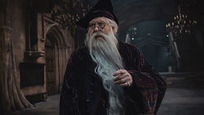 Estos son los siete profesores de las peliculas que estaran de regreso en la nueva serie de Harry Potter para HBO noticias imagen