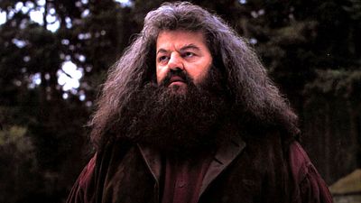 10 imágenes que demuestran que Hagrid fue un padre para Harry Potter noticias imagen