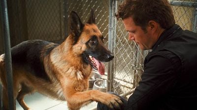 Película gratis: Azteca 7 transmitirá esta noche una divertida historia para ver con toda tu familia noticias imagen