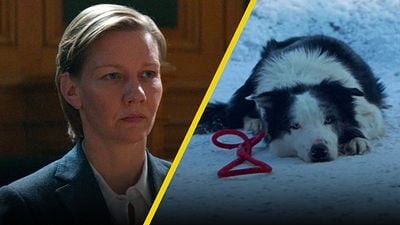 El perrito de ‘Anatomía de una caída’ recibió un premio por su actuación en la película noticias imagen