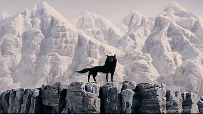 Wes Anderson en su mejor momento: la animación stop-motion que disfrutan más los adultos que los niños noticias imagen