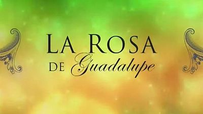 Muere Norma del Mar, actriz de ‘El señor de los cielos’ y ‘La rosa de Guadalupe’ noticias imagen