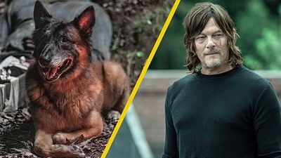 Muere 'Seven', el perrito más famoso de 'The Walking Dead' y esta fue la emotiva despedida de Norman Reedus noticias imagen