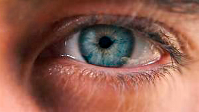 ¡No es latina! Esta es la peor comedia de todos los tiempos según los fans noticias imagen