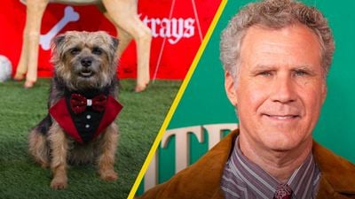 Director de 'Hijos de perra' confesó que Will Ferrell vive en su casa
