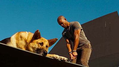 "Íbamos a hacer una precuela, pero dijimos, ¿y si seguimos tras el final alternativo?": Will Smith perfila un nuevo futuro para 'Soy Leyenda' noticias imagen