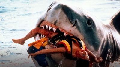 Mujer es violentamente atacada por tiburón y hace realidad película de Steven Spielberg
