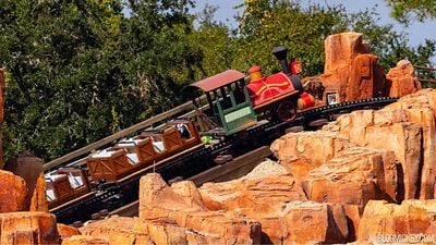 ¿Piedras en el riñón? El insólito estudio que revela cómo una montaña rusa de Disney ayuda a expulsarlas noticias imagen