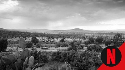 En Netflix: la obra maestra del cine mexicano contemporáneo que conquistó al mundo noticias imagen