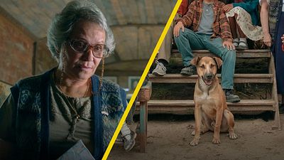 Conoce a Mante, el perrito que actuó en 'El último vagón' junto a Adriana Barraza noticias imagen