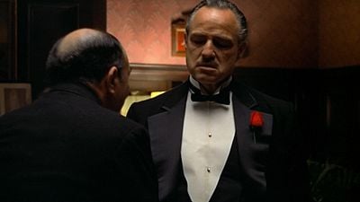 El secreto detrás de la famosa escena del gato en 'El Padrino' que ocurrió por un misterioso accidente de rodaje noticias imagen