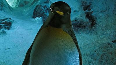 Una de las mejores películas dirigidas magistralmente y emocionante hasta el último minuto noticias imagen