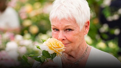 Tiene 89 años, 1 Oscar y apareció en 'Piratas del Caribe': Legendaria actriz planea retirarse porque ya no puede ver noticias imagen
