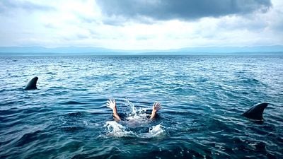 79 minutos de pura emoción en Prime Video: el emocionante thriller para los fans de 'Tiburón' que puedes disfrutar este fin de semana desde tu casa noticias imagen