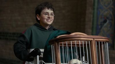 Los 3 personajes clave de los libros que la serie de Harry Potter finalmente rescatará tras ser borrados del cine noticias imagen