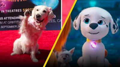 Un adorable récord: la película que se estrenó con el mayor número de perritos en la audiencia