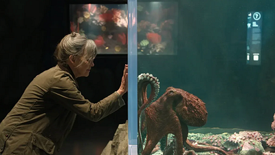 'Criaturas luminosas' y todas las películas estreno que llegan a Netflix México durante mayo noticias imagen