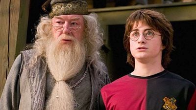 'Harry Potter': Tu perrito podrá estudiar en Hogwarts con este artículo mágico noticias imagen