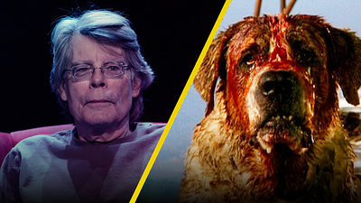 Así fue el brutal ataque de perro que sufrió Stephen King e inspiró una de sus películas más famosas noticias imagen