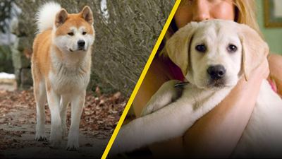5 perritos que debieron sobrevivir en las películas más tristes del cine