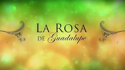Esto tardarías en terminar 'La Rosa de Guadalupe' si vieras todos los capítulos sin pausa noticias imagen