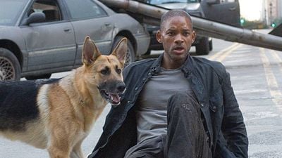 ¿Qué pasó con el perrito de ‘Soy leyenda’? Will Smith quería adoptarla y le dijeron que no noticias imagen