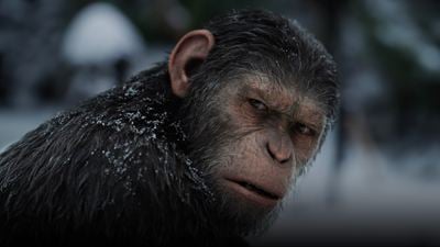'El planeta de los simios: Nuevo reino': te resumimos el final de la película anterior