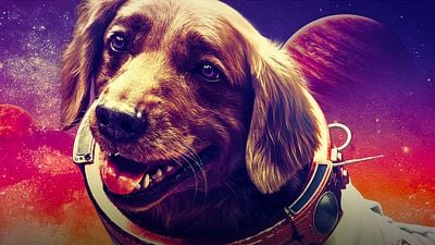Conoce al perrito y la actriz que interpretan a Cosmo en 'Guardianes de la Galaxia 3' en tiernas fotos detrás de cámaras noticias imagen